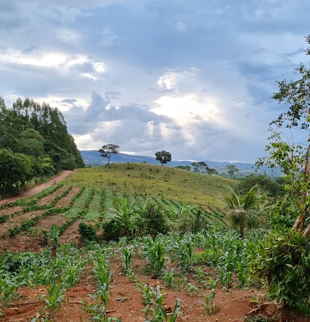 Fazenda Café Lá de Casa em Guapé MG